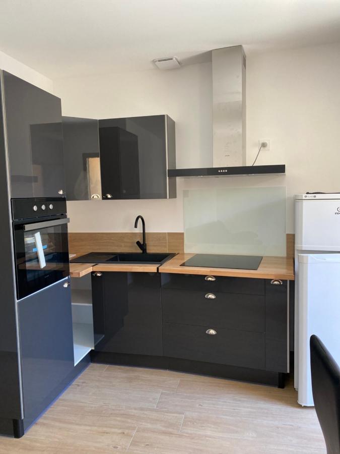 Appartements Neufs Avec Garages Dans Maison De Village Andance Bagian luar foto