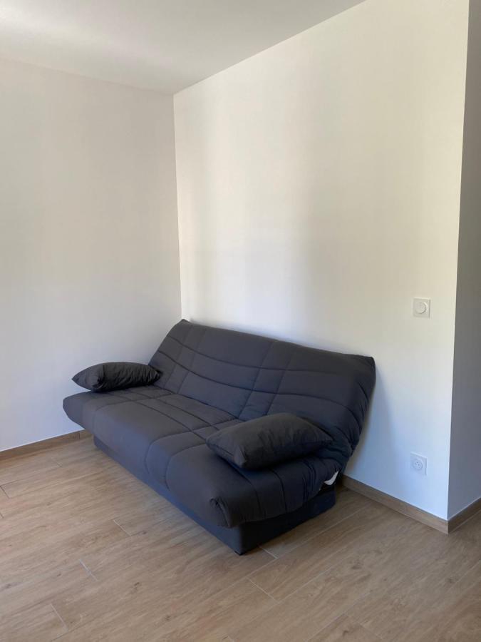 Appartements Neufs Avec Garages Dans Maison De Village Andance Bagian luar foto