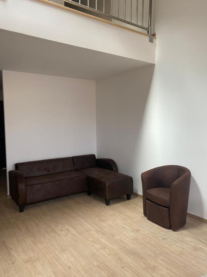 Appartements Neufs Avec Garages Dans Maison De Village Andance Bagian luar foto
