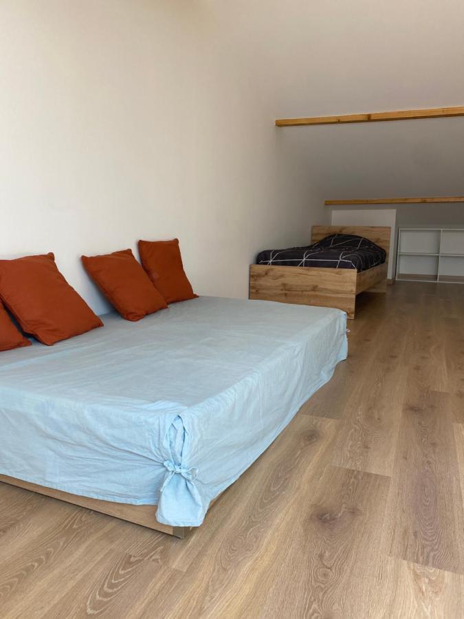 Appartements Neufs Avec Garages Dans Maison De Village Andance Bagian luar foto